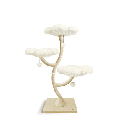 EDEN CLOUD COLLECTION