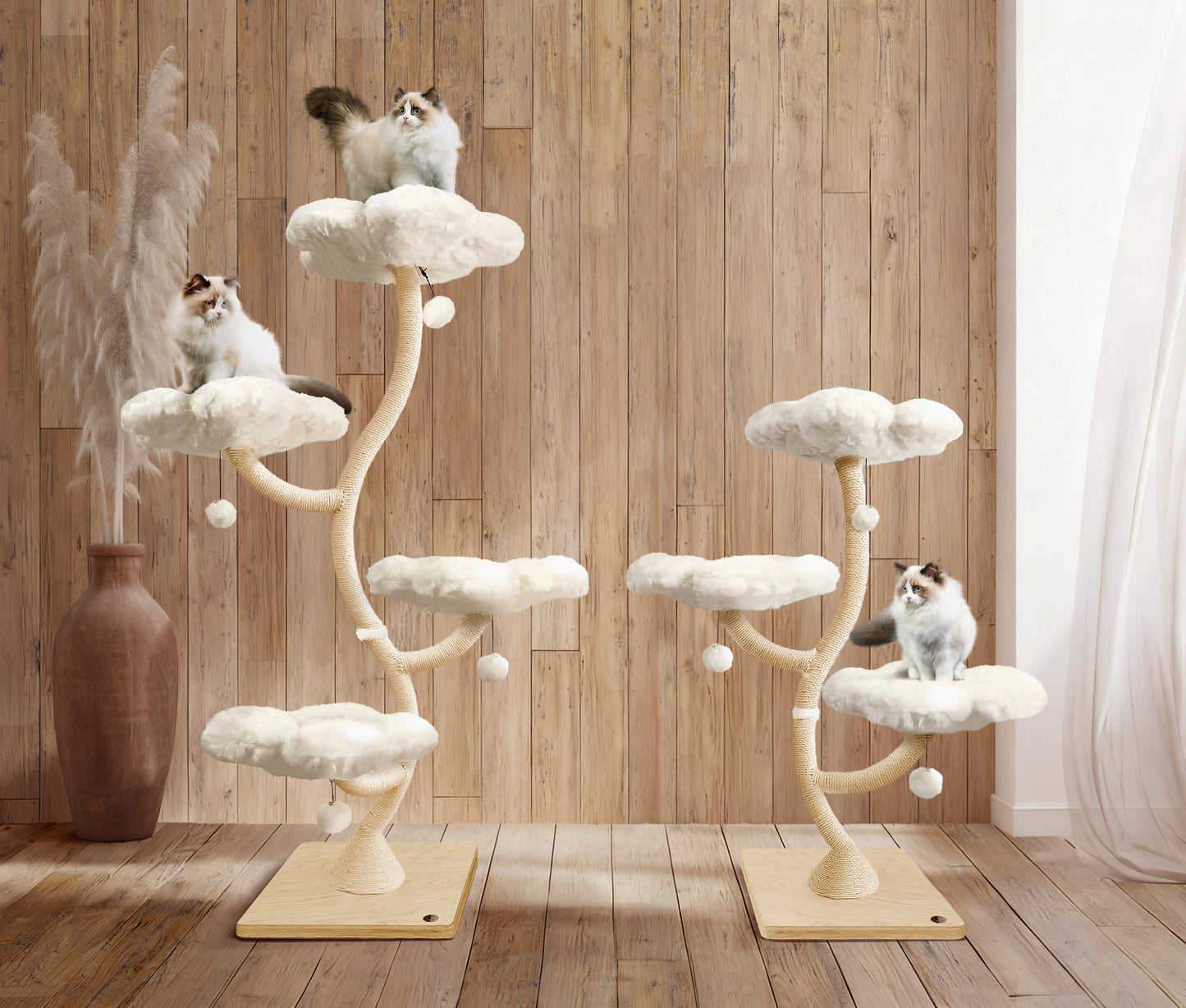 EDEN CLOUD COLLECTION