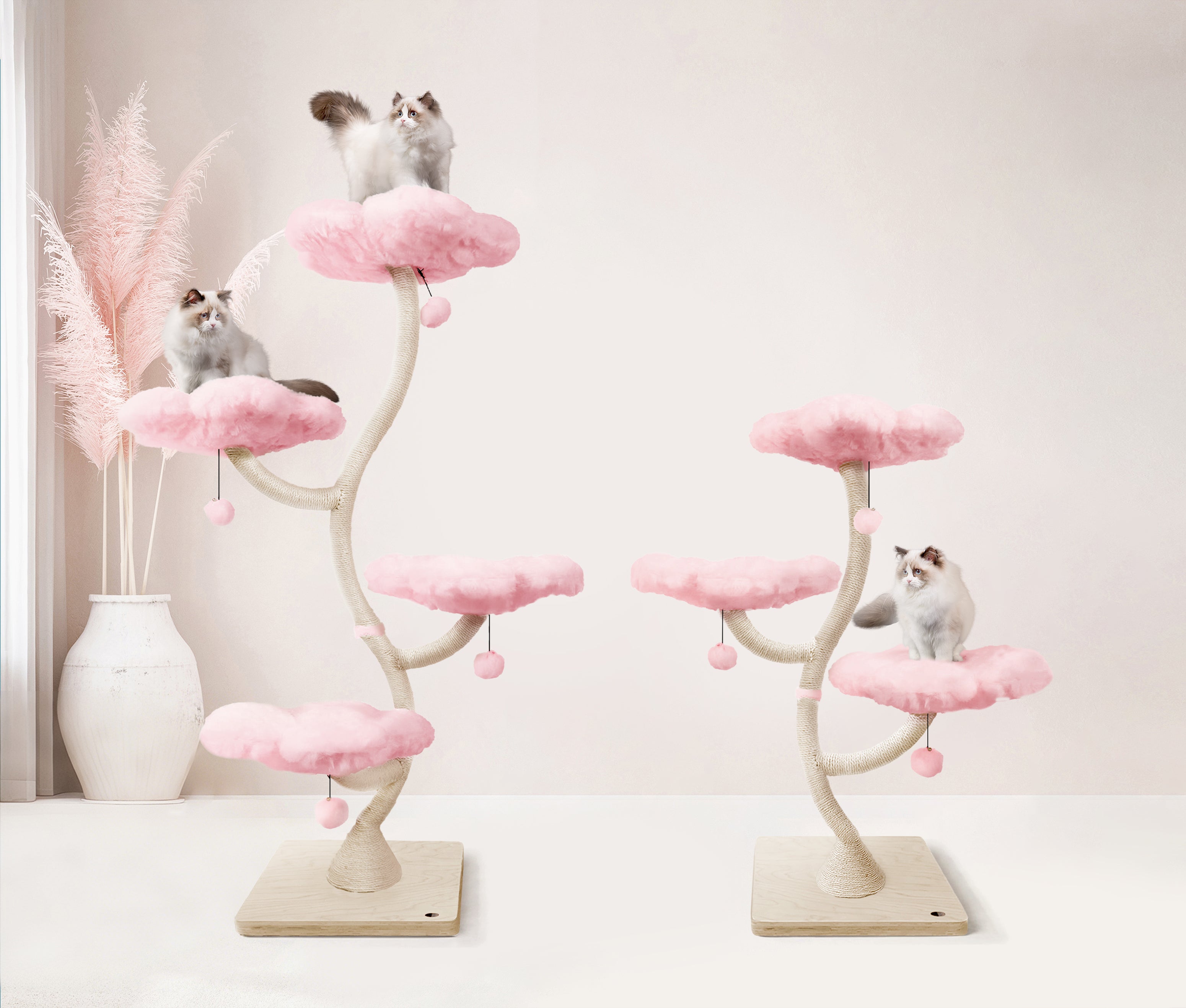 EDEN CANDY CLOUD COLLECTION