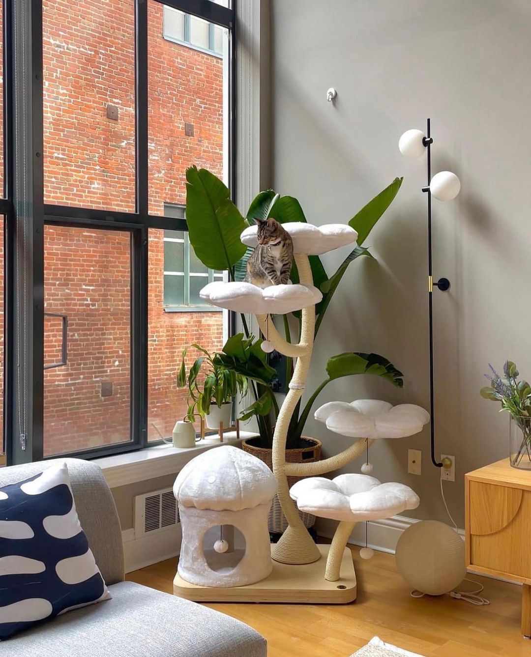 A cat tree in a cozy, windowed living room provides cats a space to climb, play, and relax