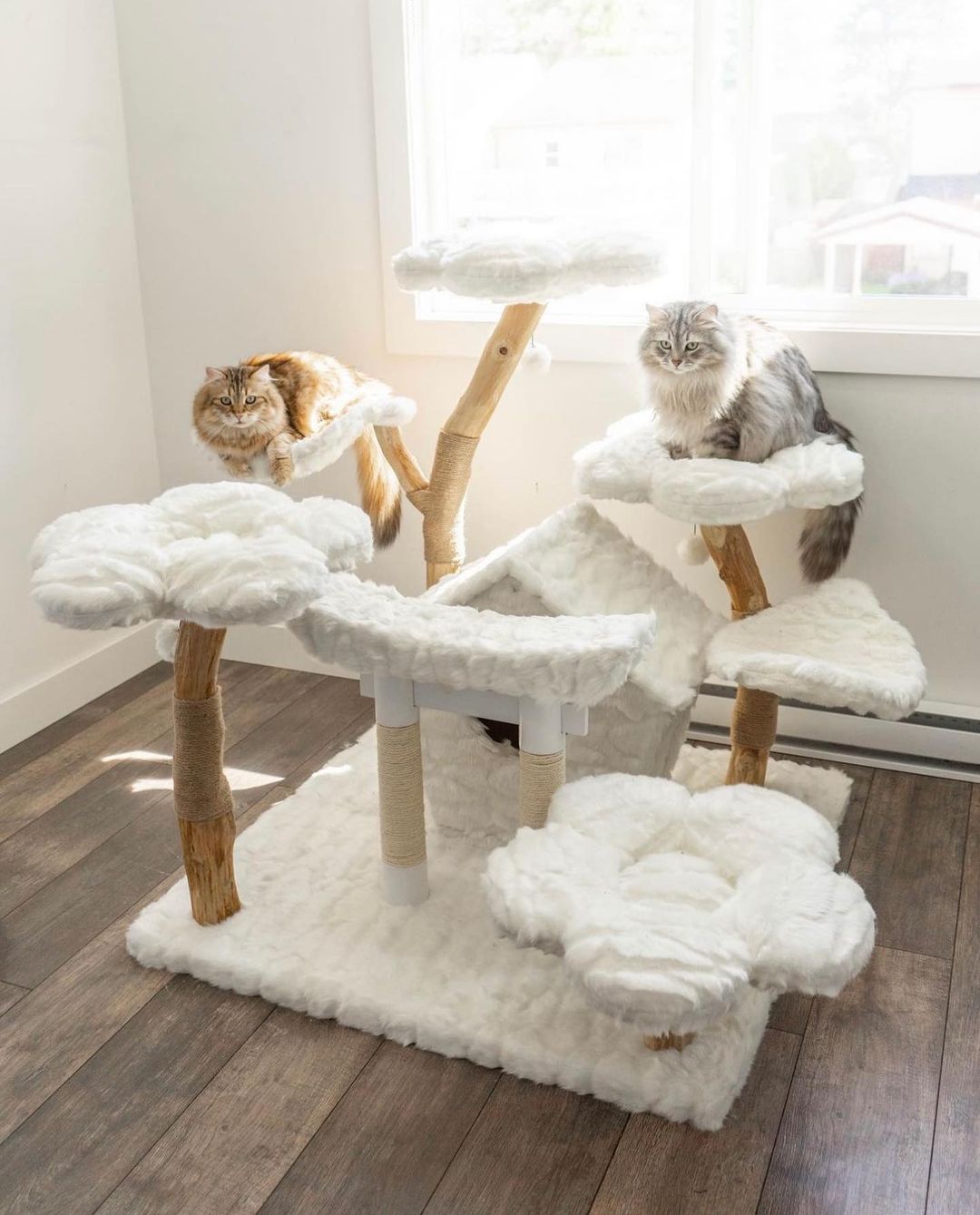 A pair of cats perched on a stylish cat tree from the monochrome collection