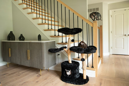 Teddy noir tres flower cat tree in a room with stairs
