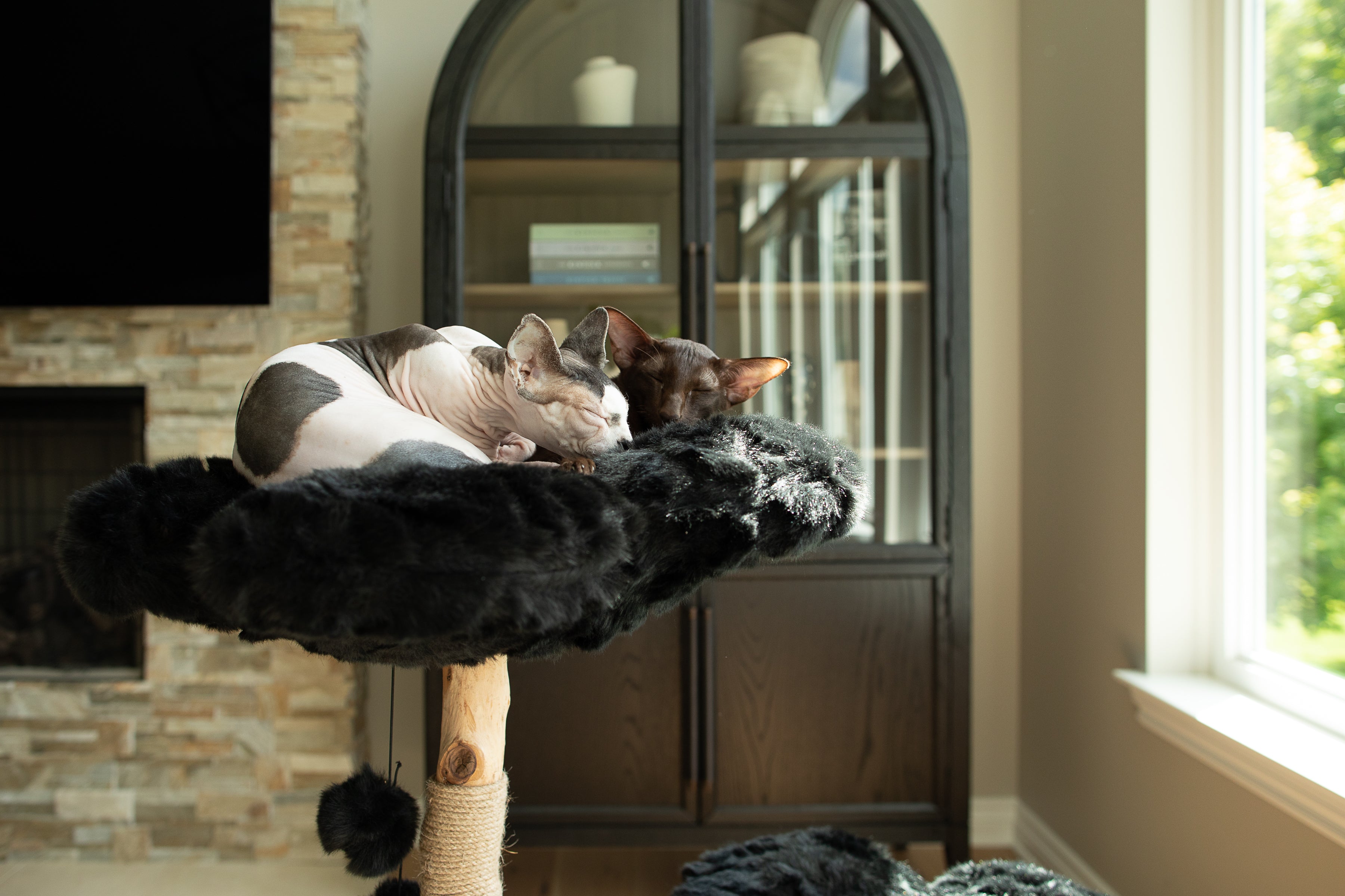 A stylish cat tree with black flowers, offering cats a comfortable and fashionable perch