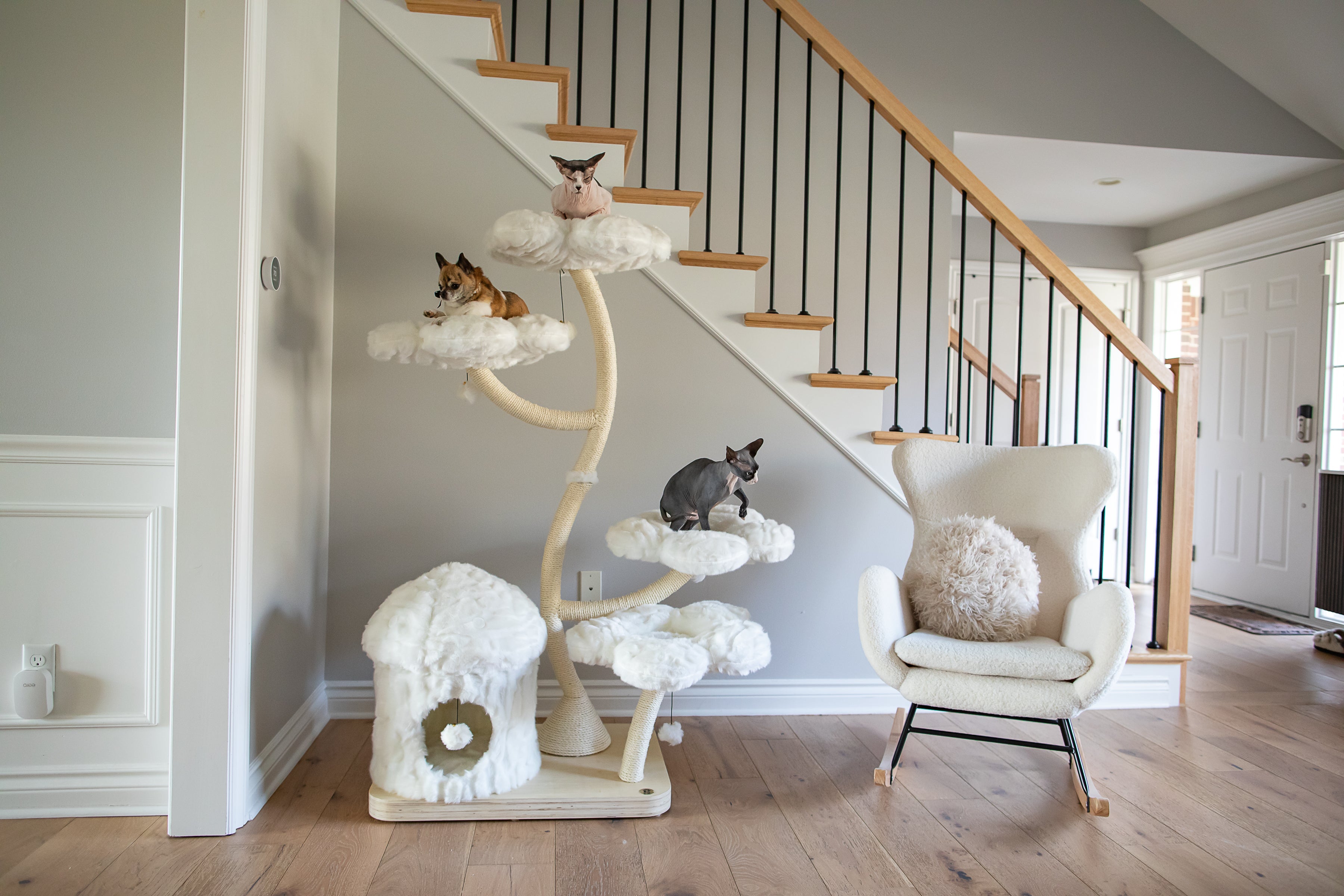 TEDDY BLANC EDEN: THE GARDEN OF FLOWERS