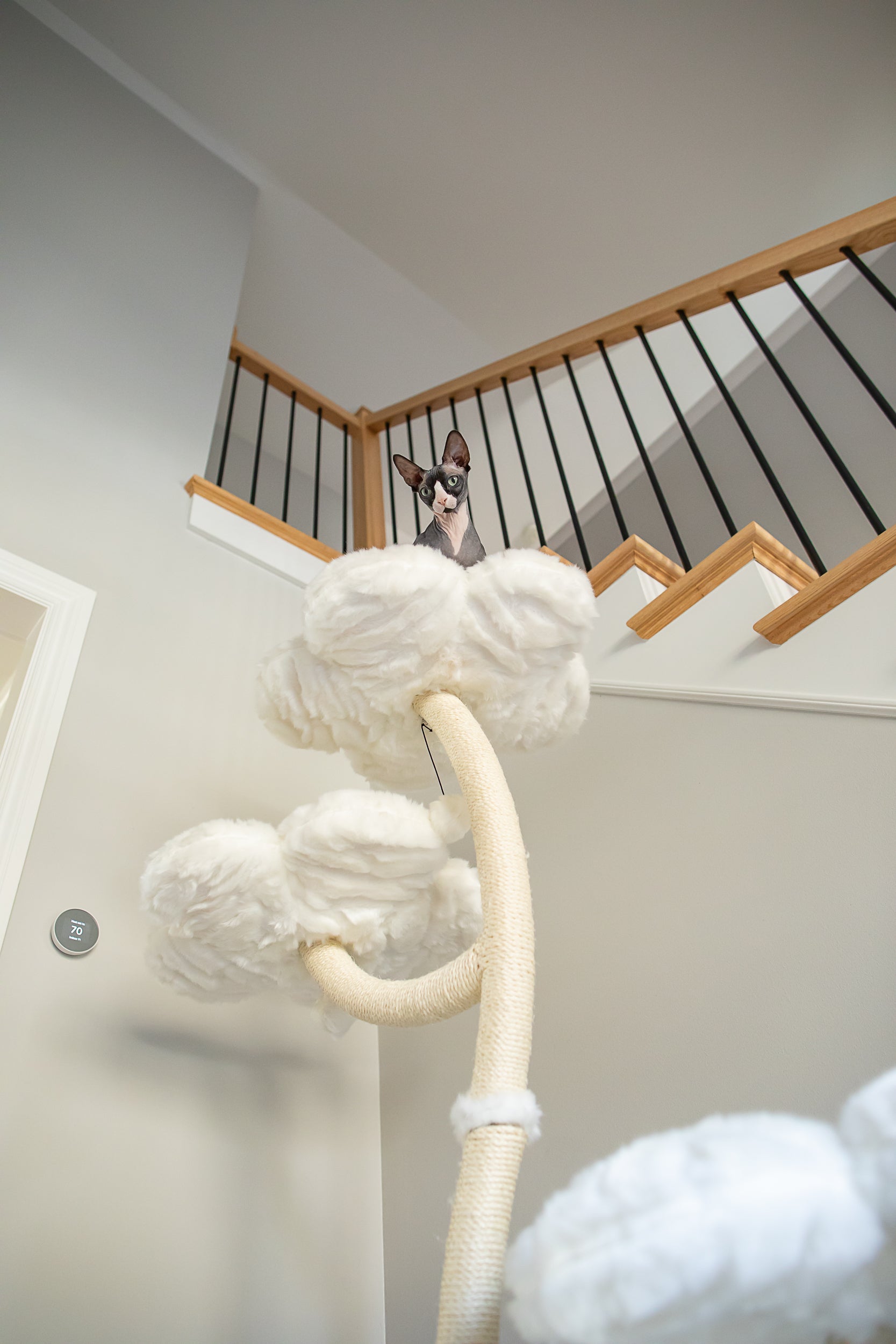 TEDDY BLANC EDEN: THE GARDEN OF FLOWERS