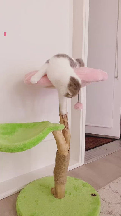 CHERRY BLOSSOM DOS - KBS FLORAL CAT TREE