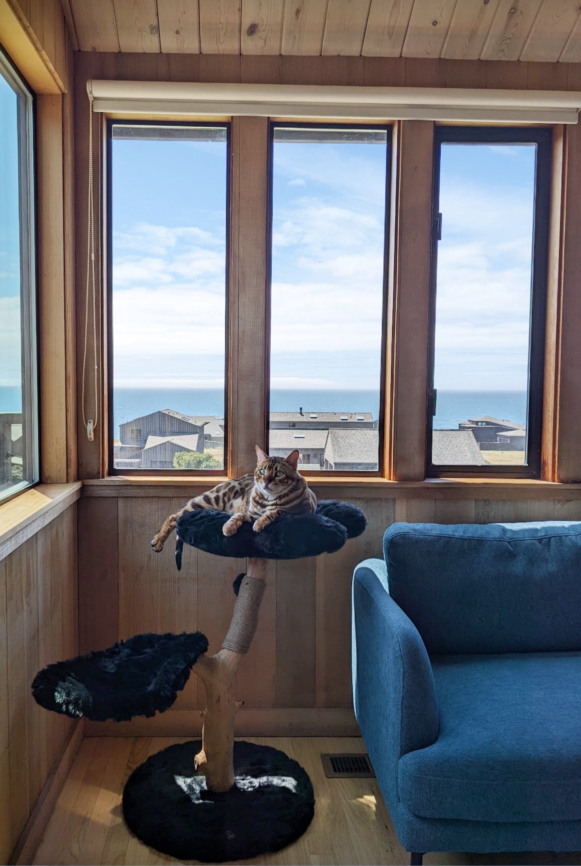 TEDDY NOIR DOS - KBS FLORAL CAT TREE