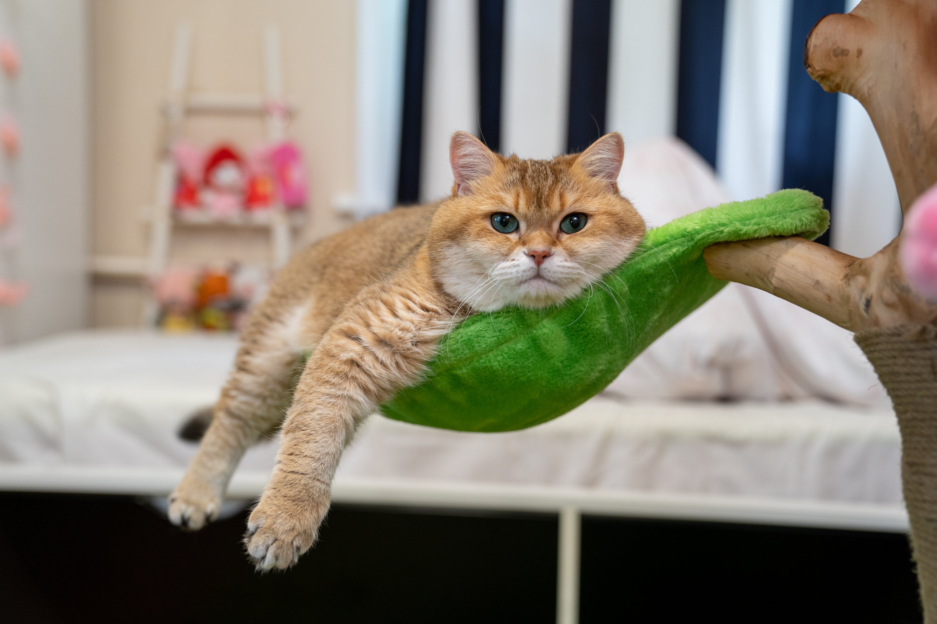 A colorful cat tree with flowers, ideal for your beloved feline relaxation
