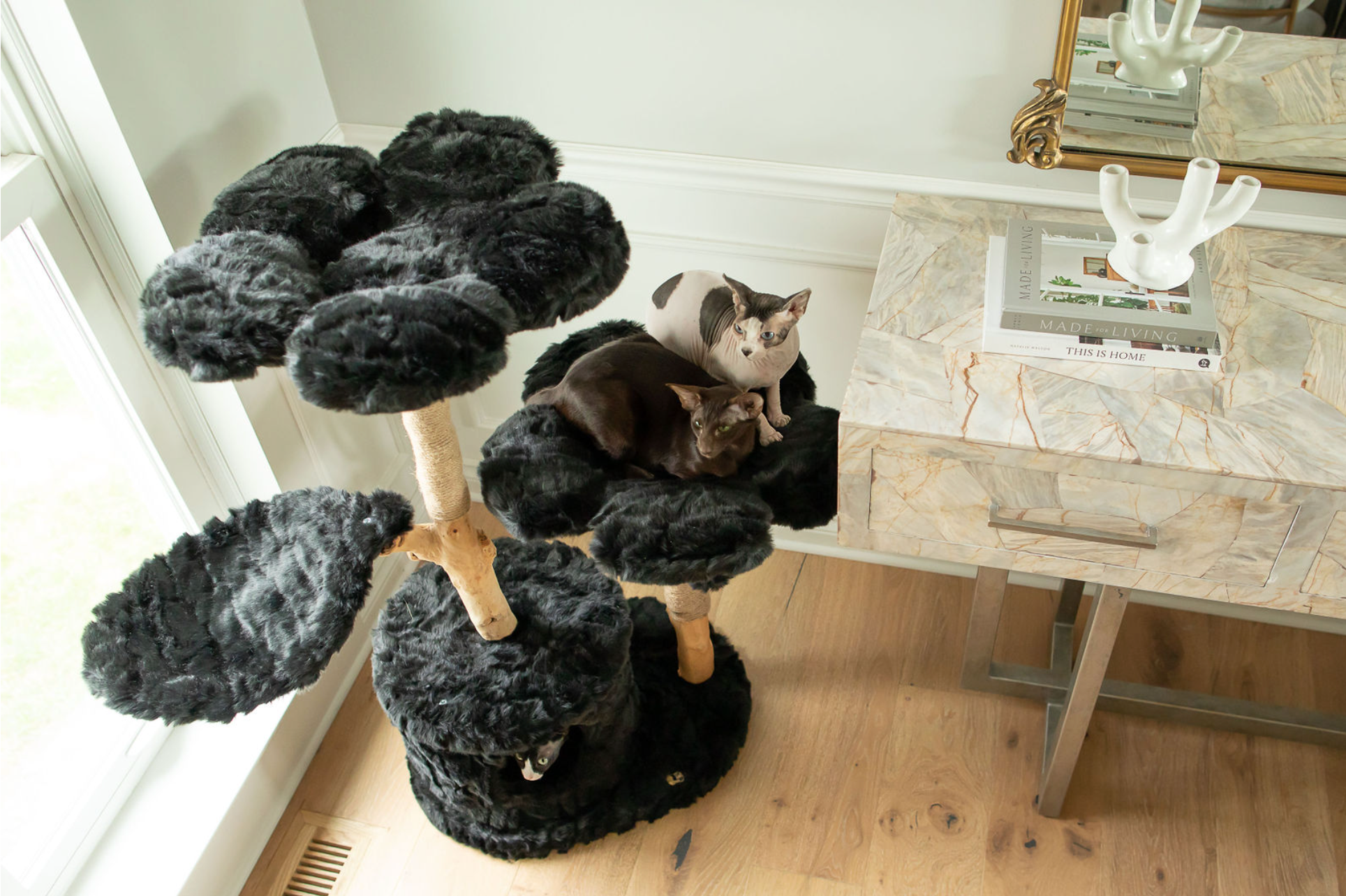 Black and shop white cat tree