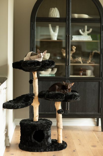 Teddy Noir Tres Modern Cat Tree Condo Large Black Kbspets KBSPETS