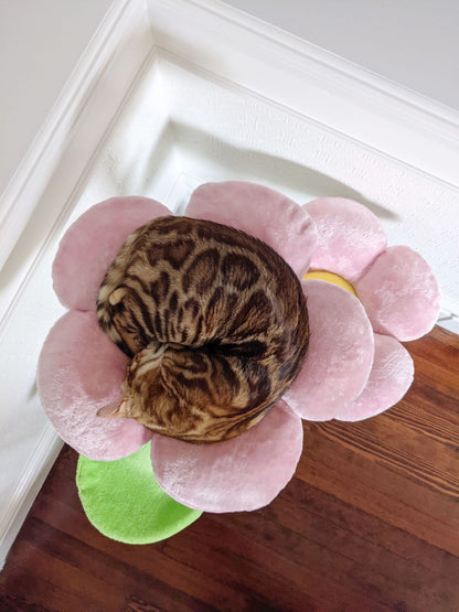 A cat napping on a pink flower-shaped bed, part of a flower cat tree
