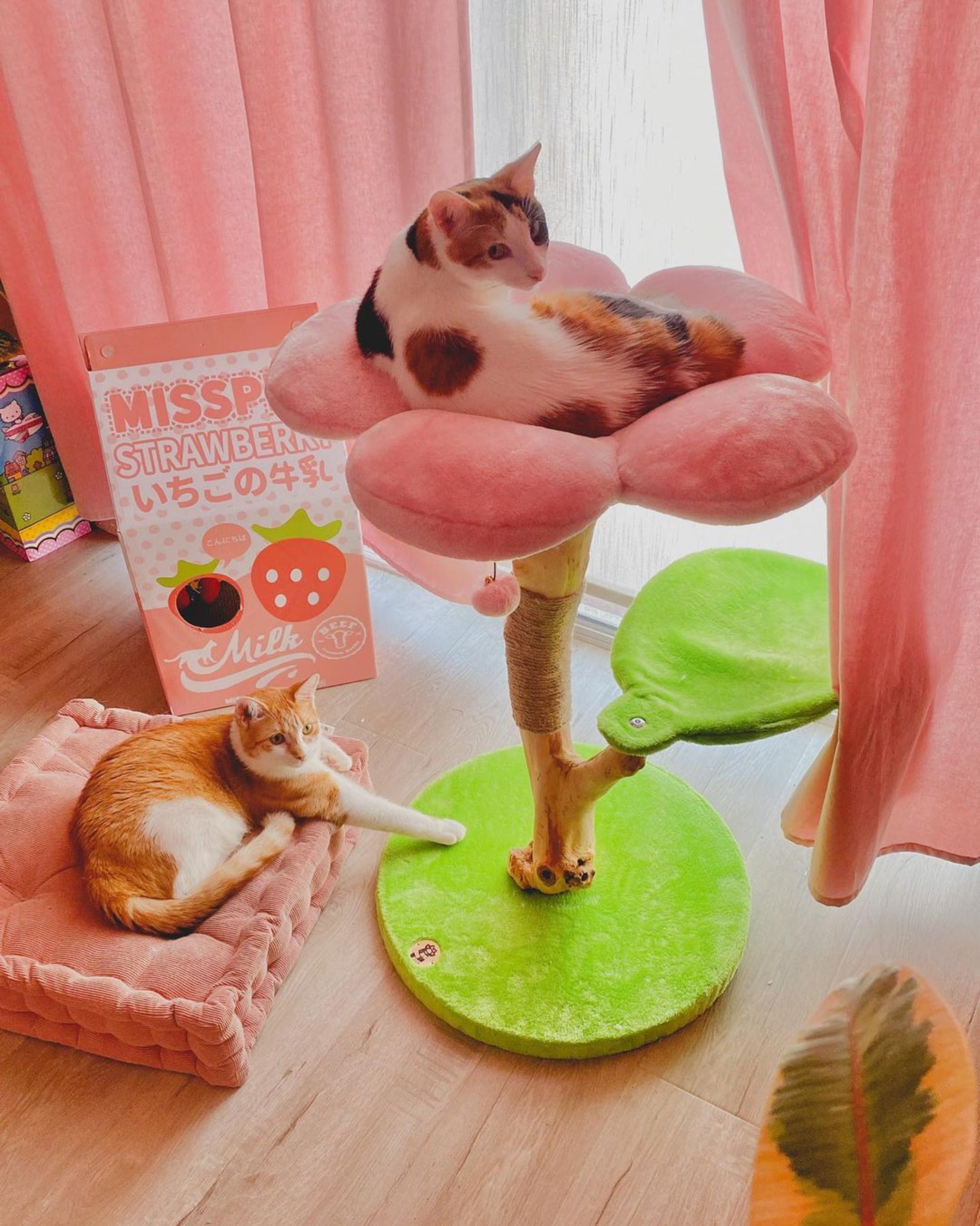 Two cats relaxing on a cherry blossom modern cat tree