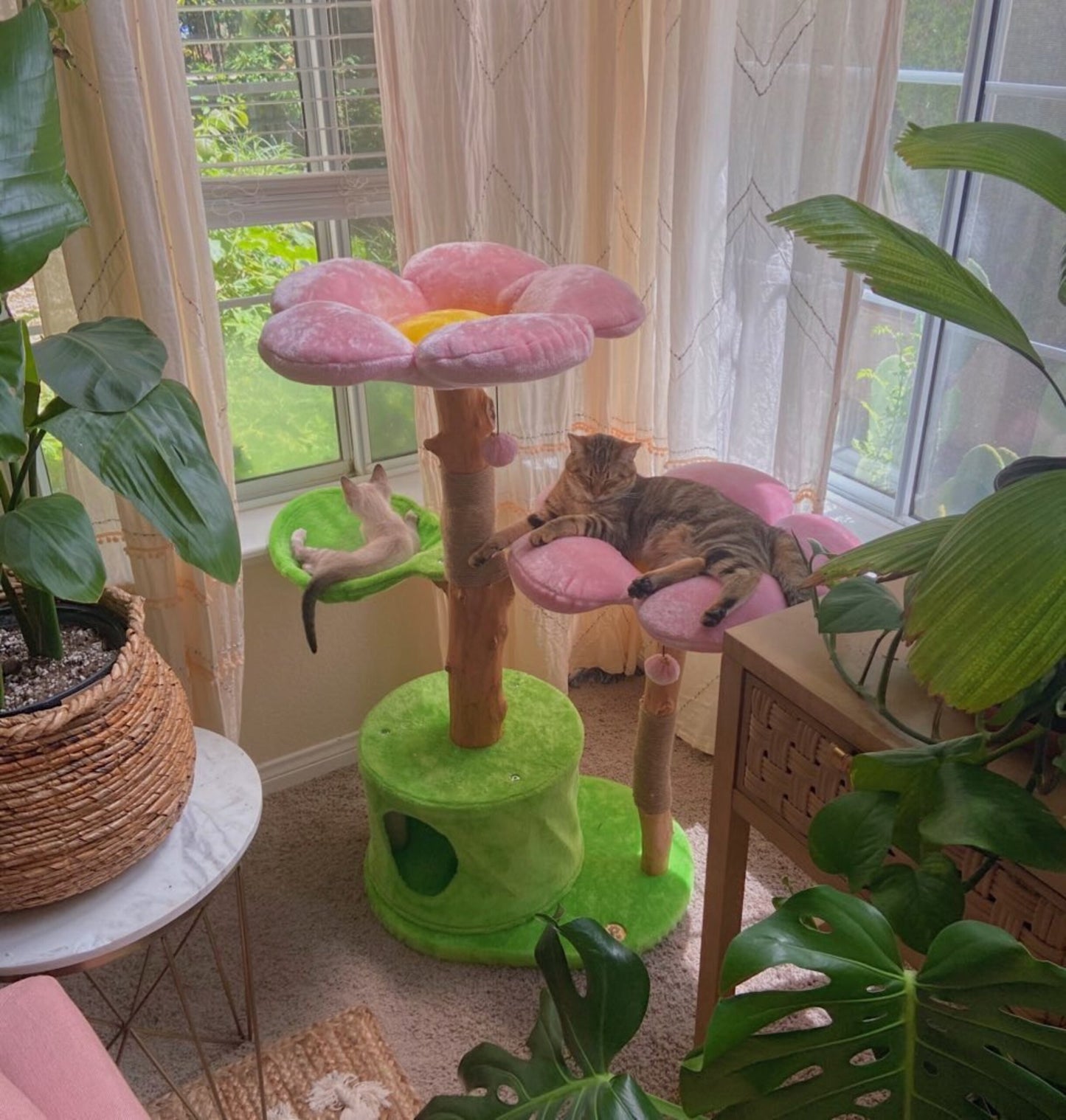 A cat sitting on a cherry blossom cat tree in a room