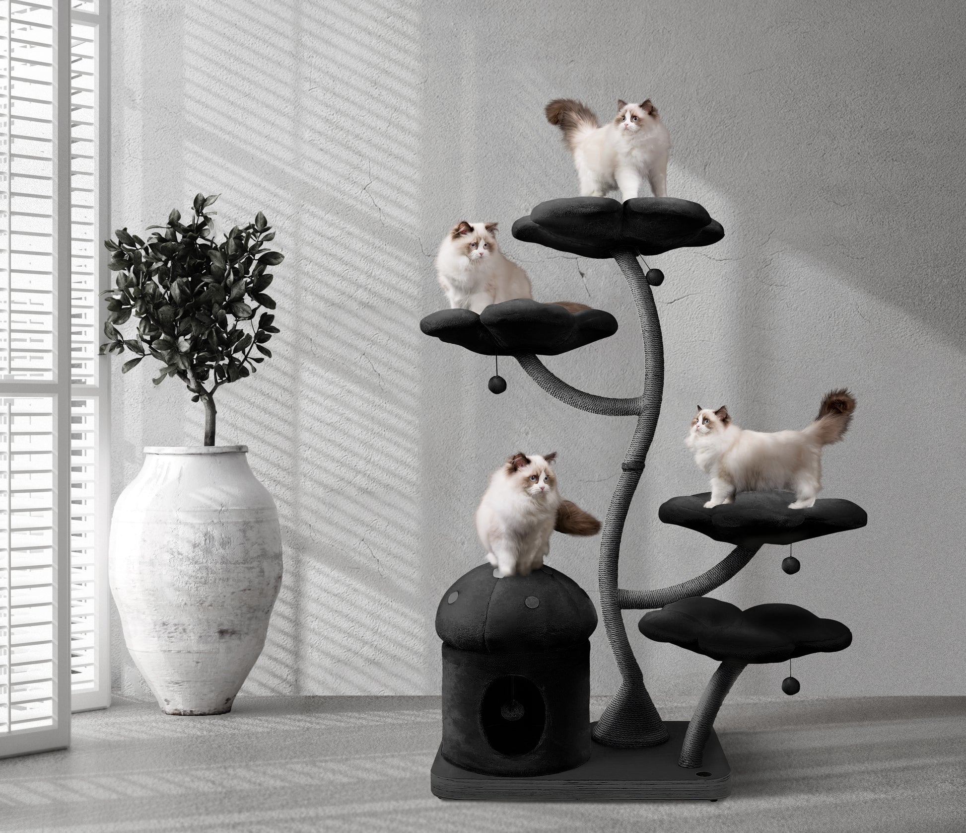 Cozy Plush Noir Eden Modern Cat Tree Condo, Large, Black