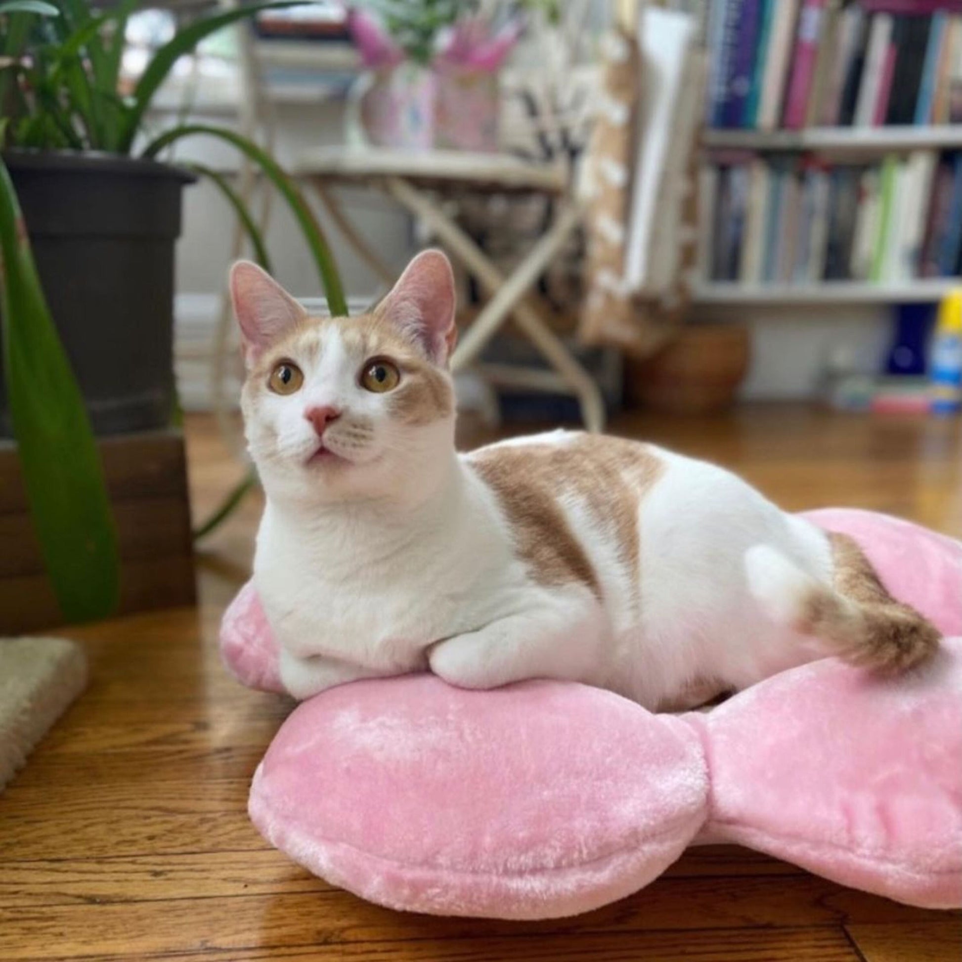 A cat relaxes on a pink pet bed, nestled amidst a floral cat tree